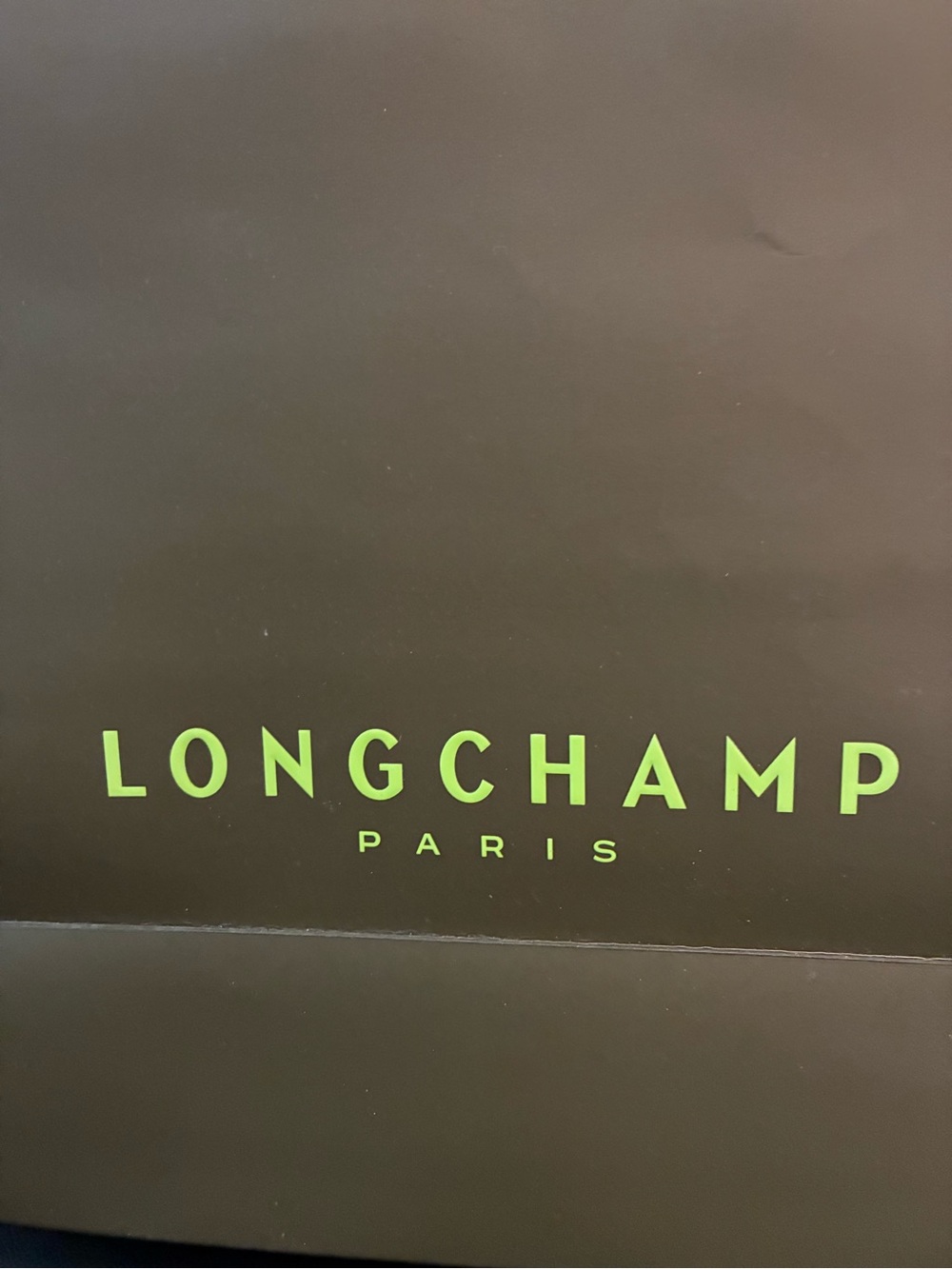 Longchamp Paris Gift Bag